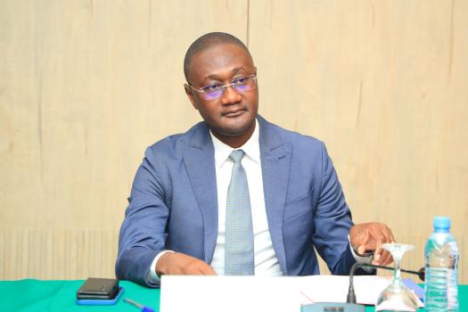 Gestion des entreprises publiques – Moussa Sanogo recueille les avis et recommandations des experts comptables